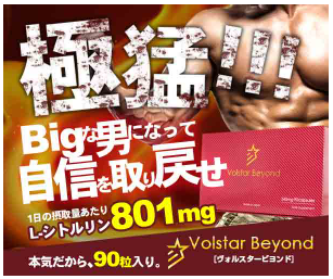 ヴォルスタービヨンド ドンキ